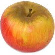 Pomme Reines de Reinettes