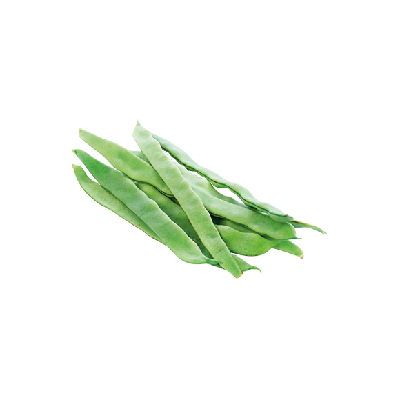 Haricot coco plat