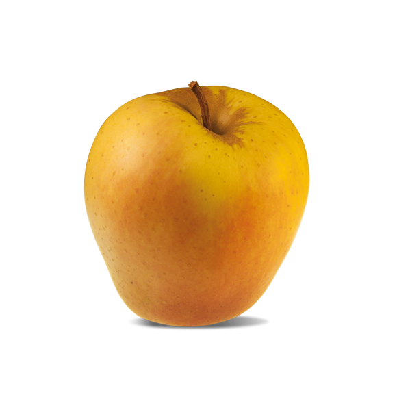 Pomme Golden