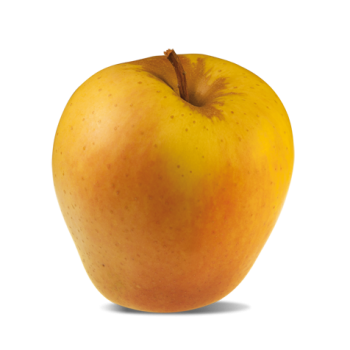 Pomme Golden