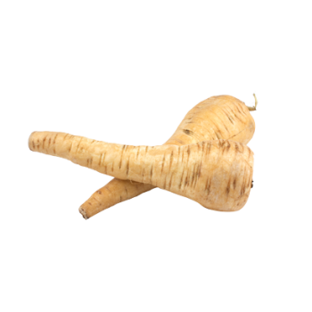 Panais
